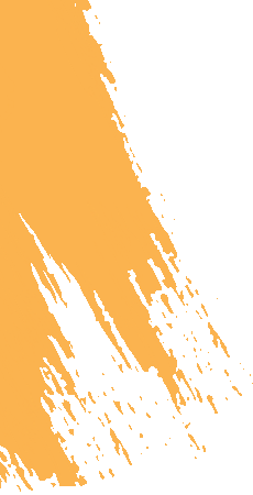 Trace Orange